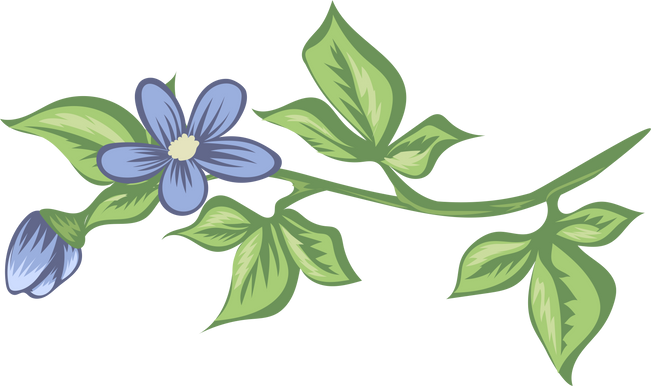 Flowers on a Branch Illustration
