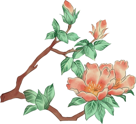 Decorative Traditional Painting Elements Tree Branch With Flower
